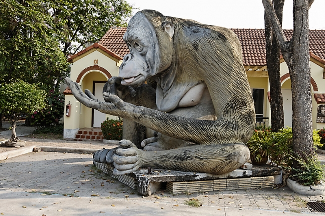 Lopburi King Narai fair-210